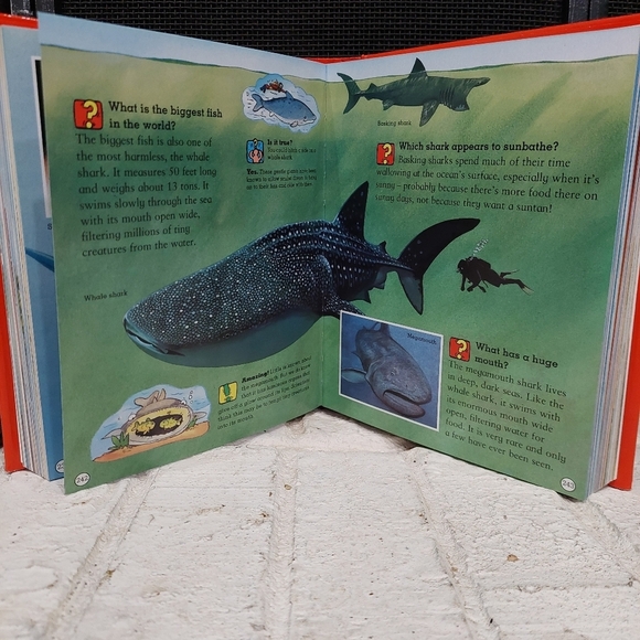 Amazing Questions And Answers Book Of Timeless Knowledge Adventures  And Quizzes - Picture 5 of 9